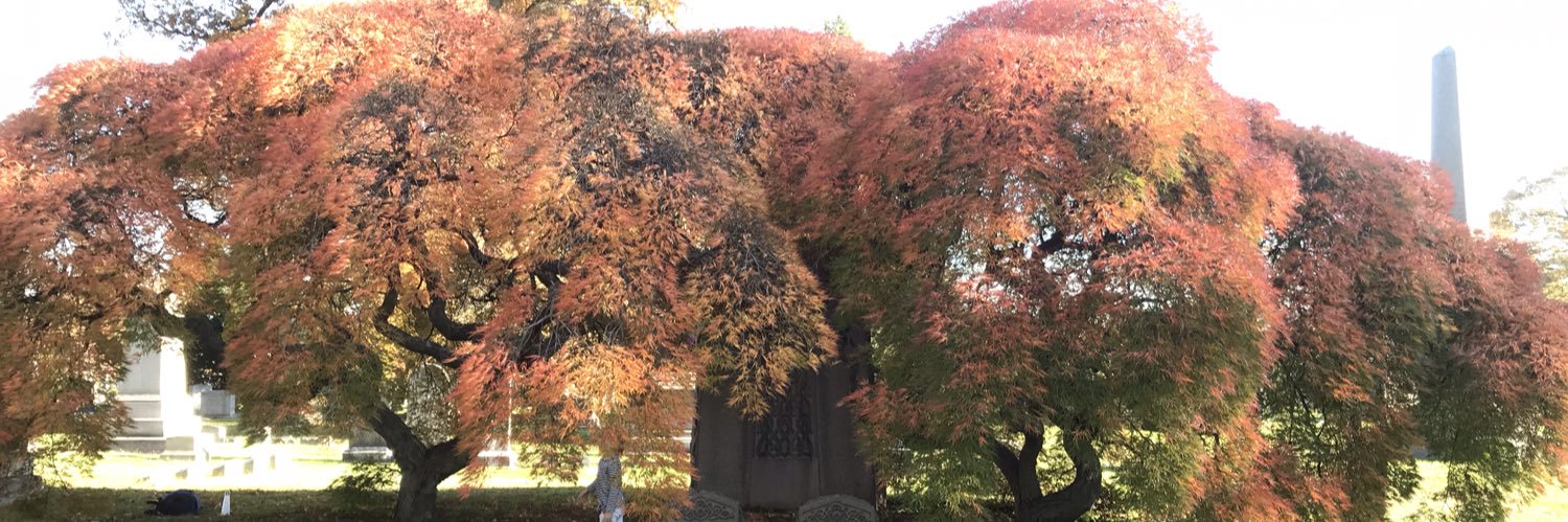 Mitch Stripling banner