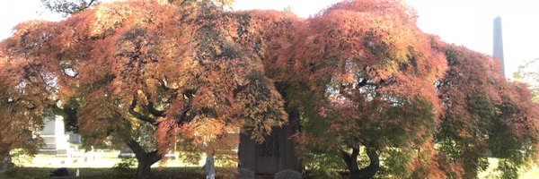 mitchstripling Profile Banner