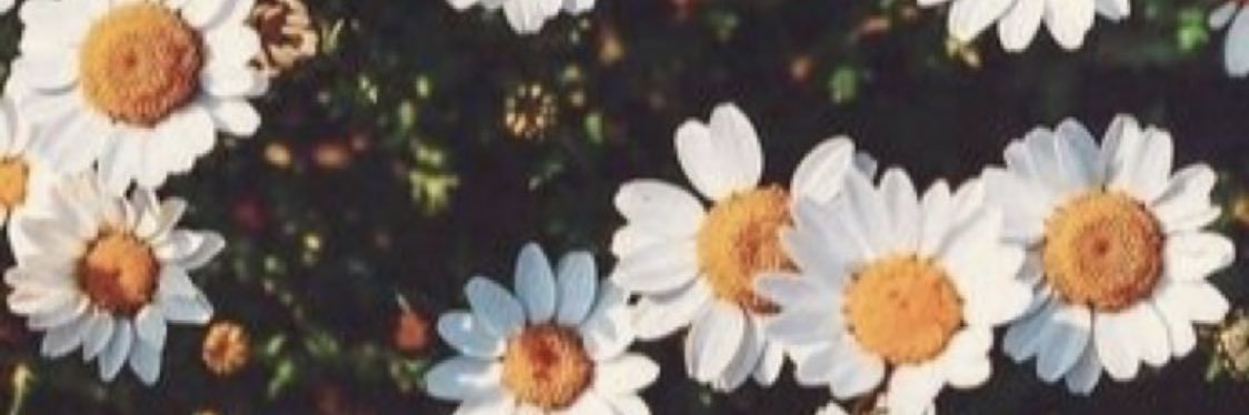 Rocholoco's profile banner image