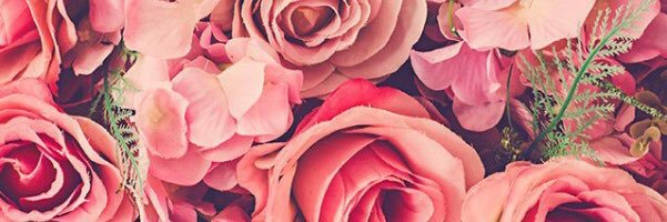 amandaoreilly's profile banner image