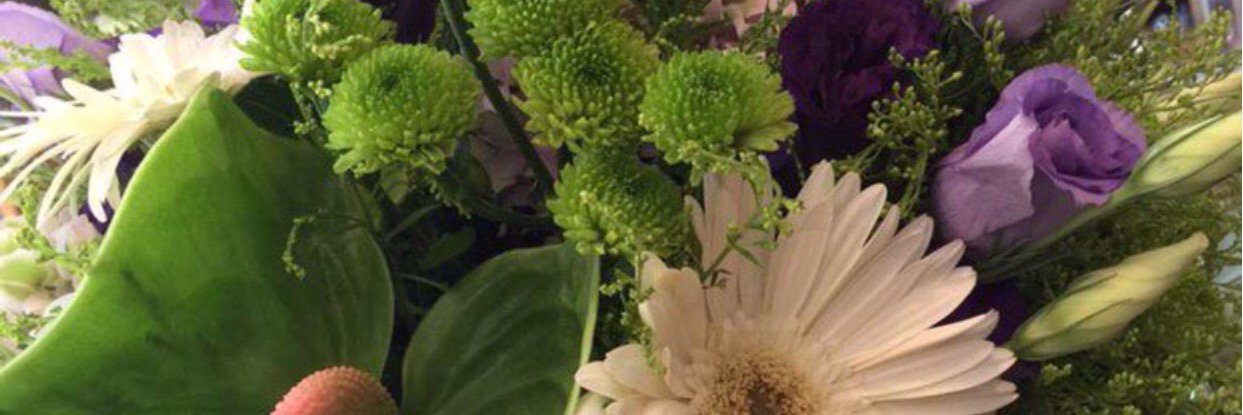 R39335956's profile banner image