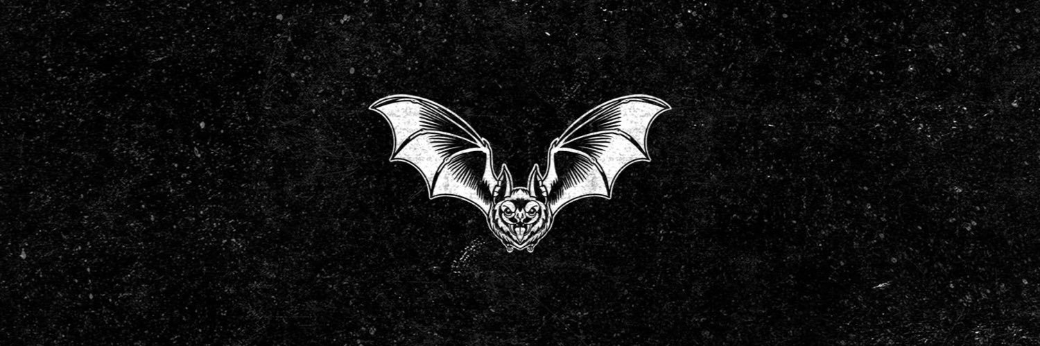 missvincentband's profile banner image