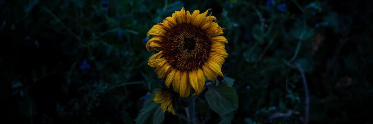 Derrickdfan's profile banner image