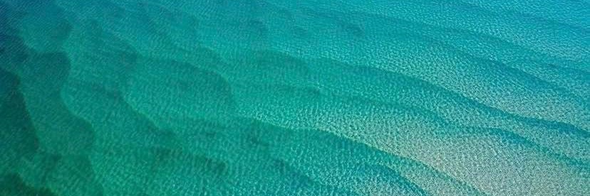 ElissaFarrow's profile banner image