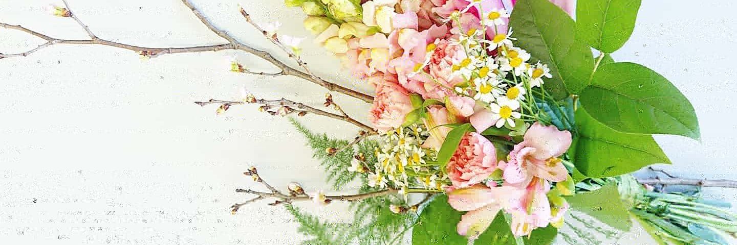 sachi922's profile banner image