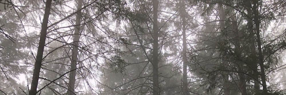 nkks77's profile banner image