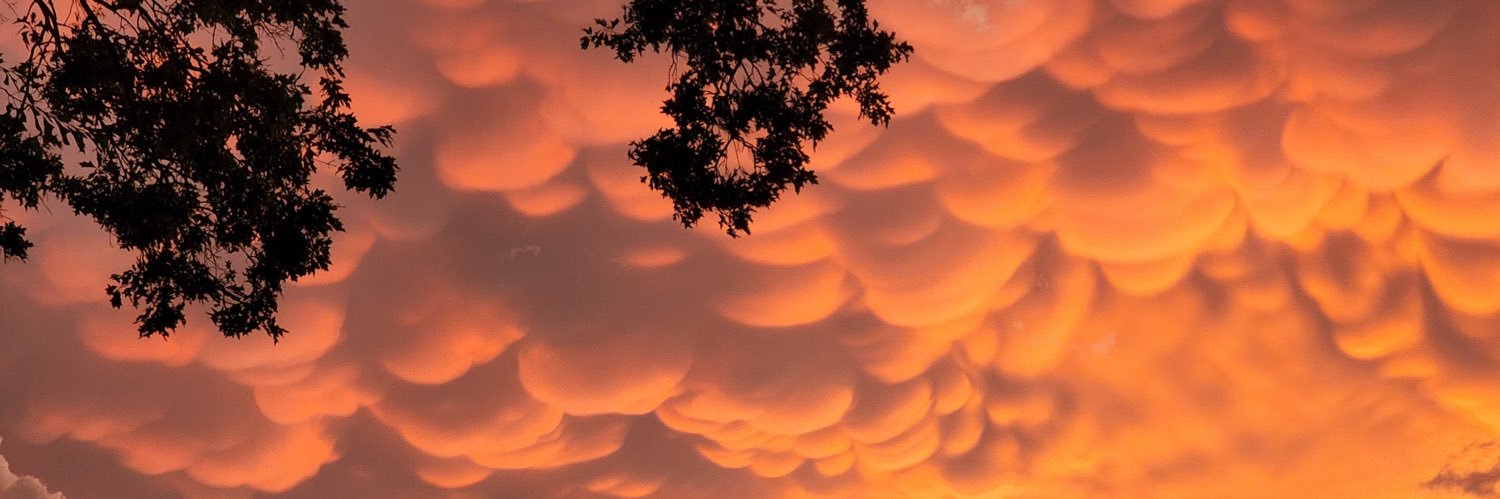 Kelly SNOWbeck ❄️ banner