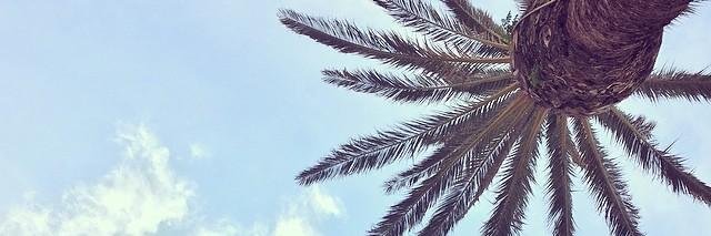 imagabs_'s profile banner image