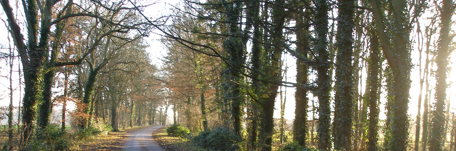 Enstone's profile banner image
