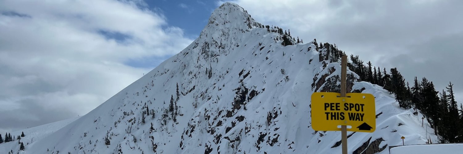 crstrout's profile banner image