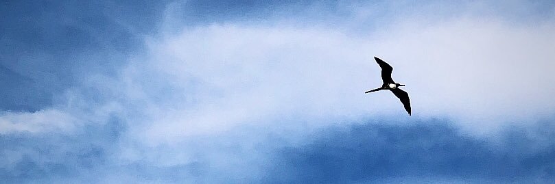 rodrigoyeps's profile banner image