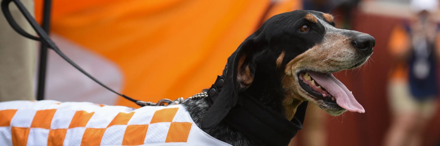 RobDemastus's profile banner image