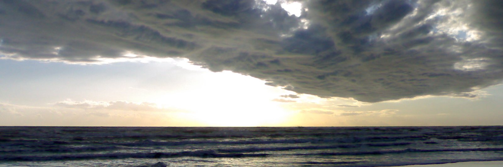 delfinah76's profile banner image