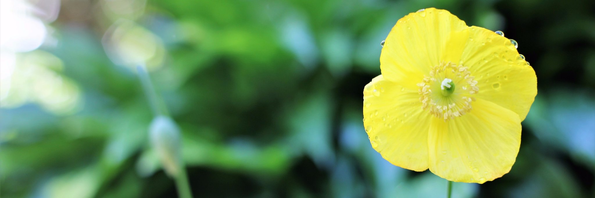 HillsidePrintng's profile banner image
