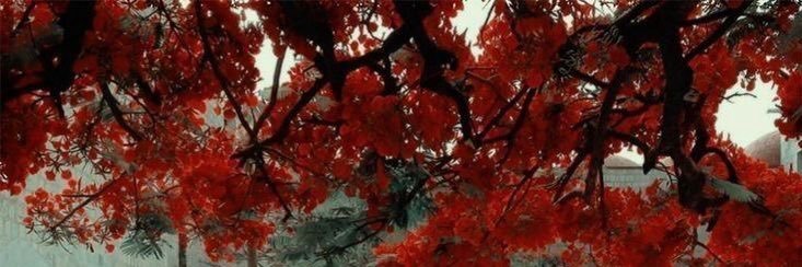 FloKsilem's profile banner image