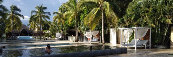 acaisut Profile Banner