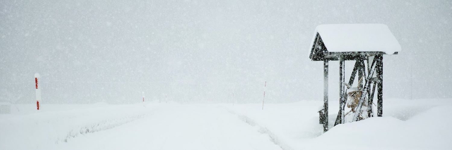 Salomery's profile banner image