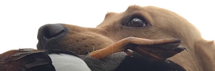TannerLloyd_25's profile banner image