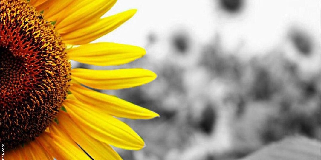 taylorrrolllo's profile banner image