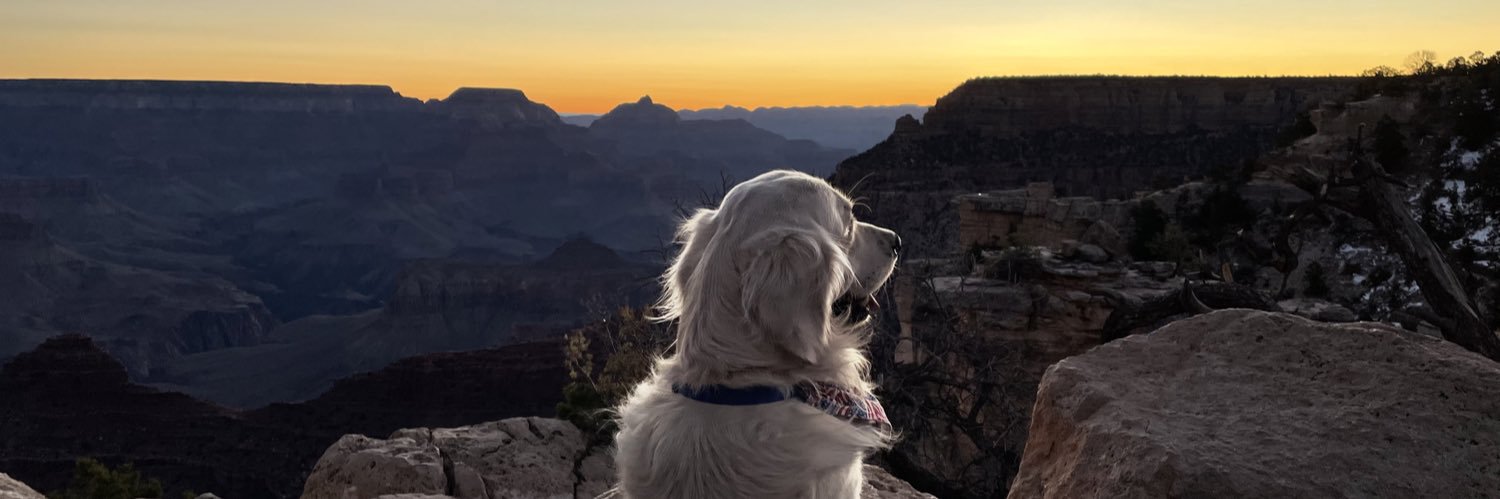 Michael Kovacs banner