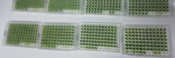 sermoreira Profile Banner