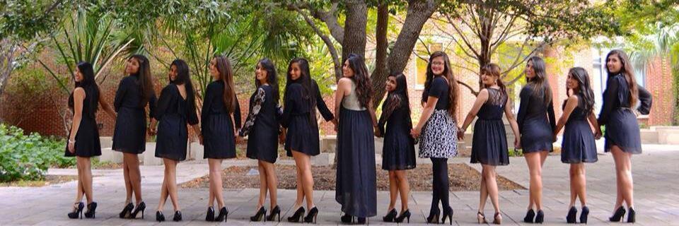 DKD Zeta Chapter banner