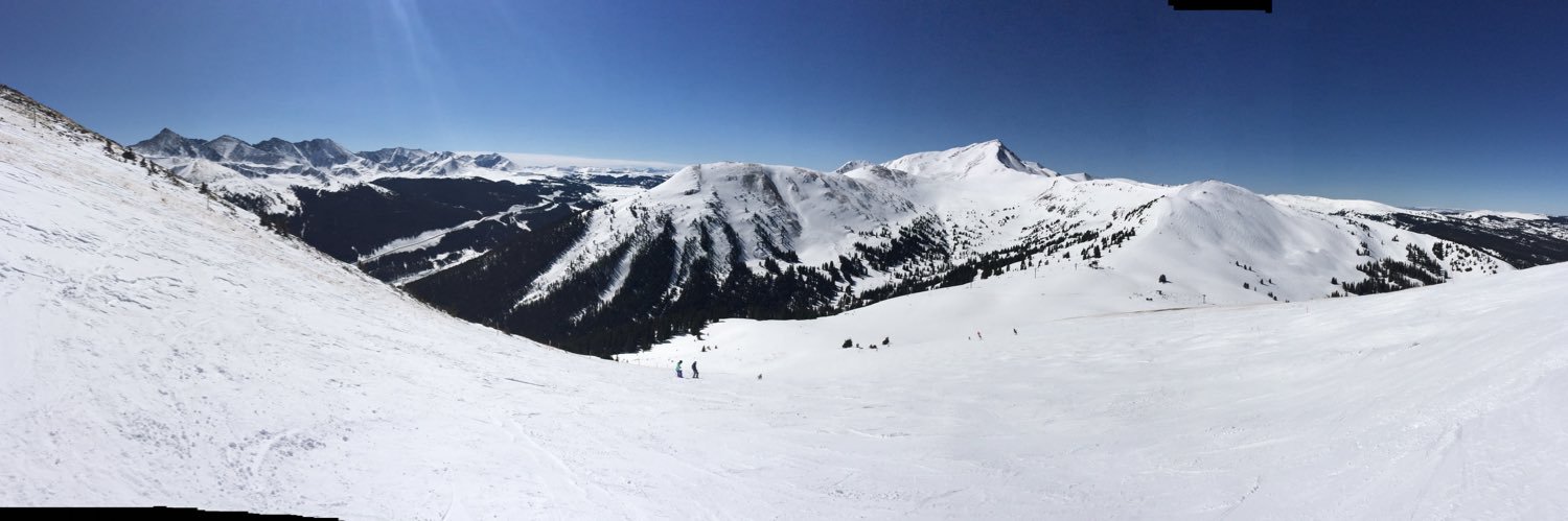 Matthew Delaney banner