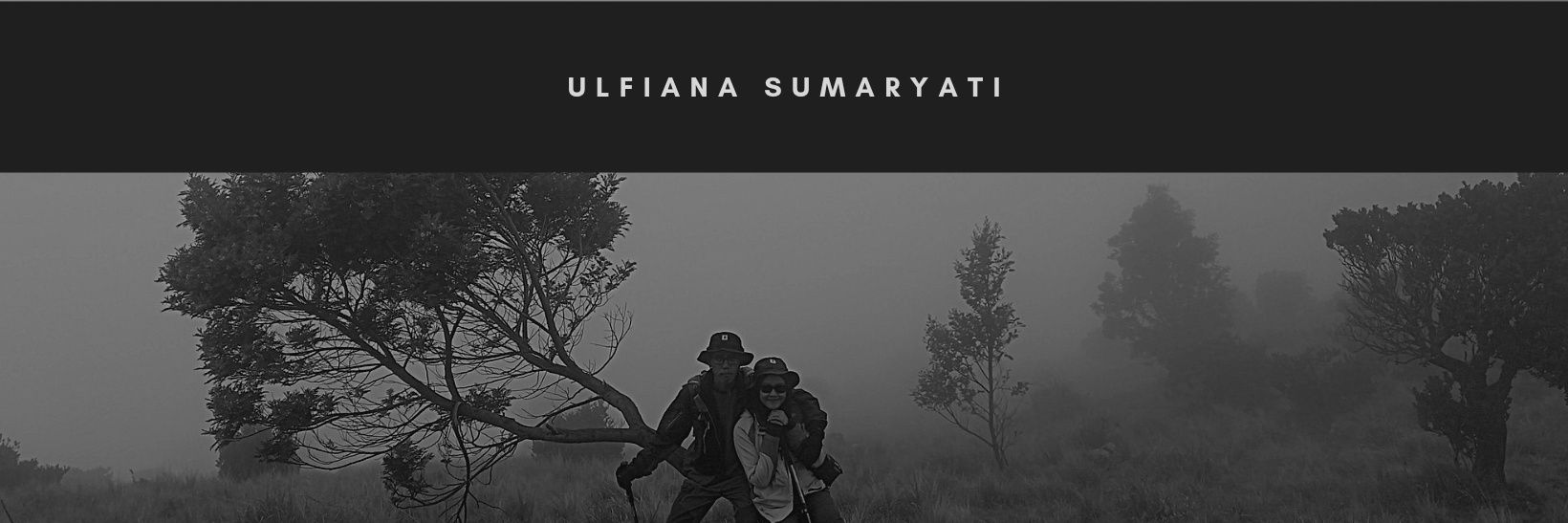 ulfiulfia's profile banner image