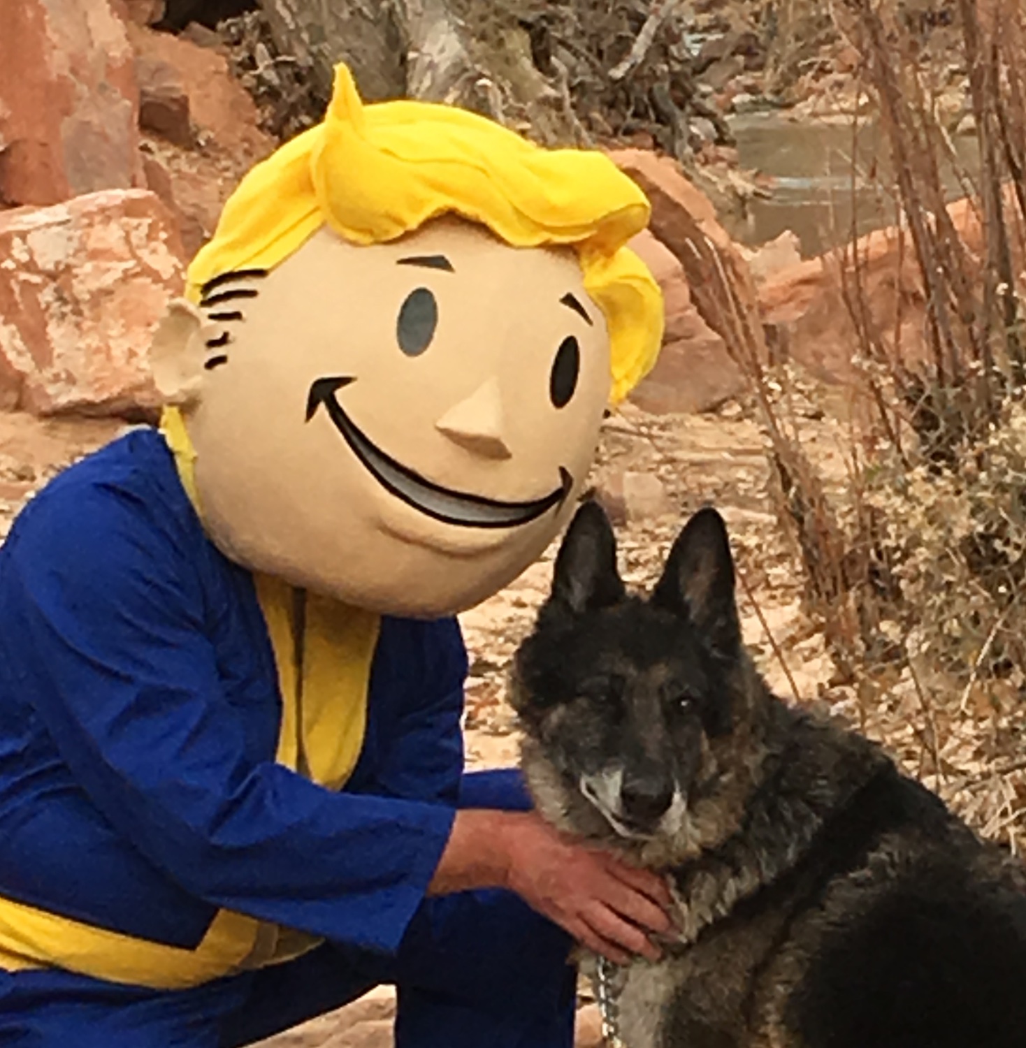 The Chip Monk Show banner