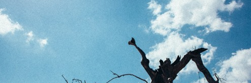 Billayee's profile banner image