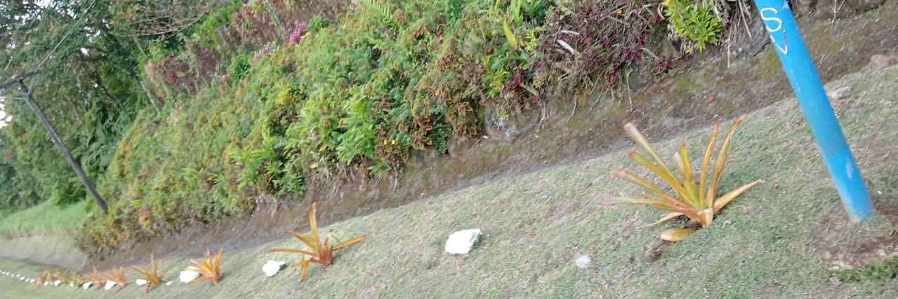 NPCole23's profile banner image