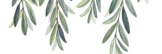 ruthann___'s profile banner image