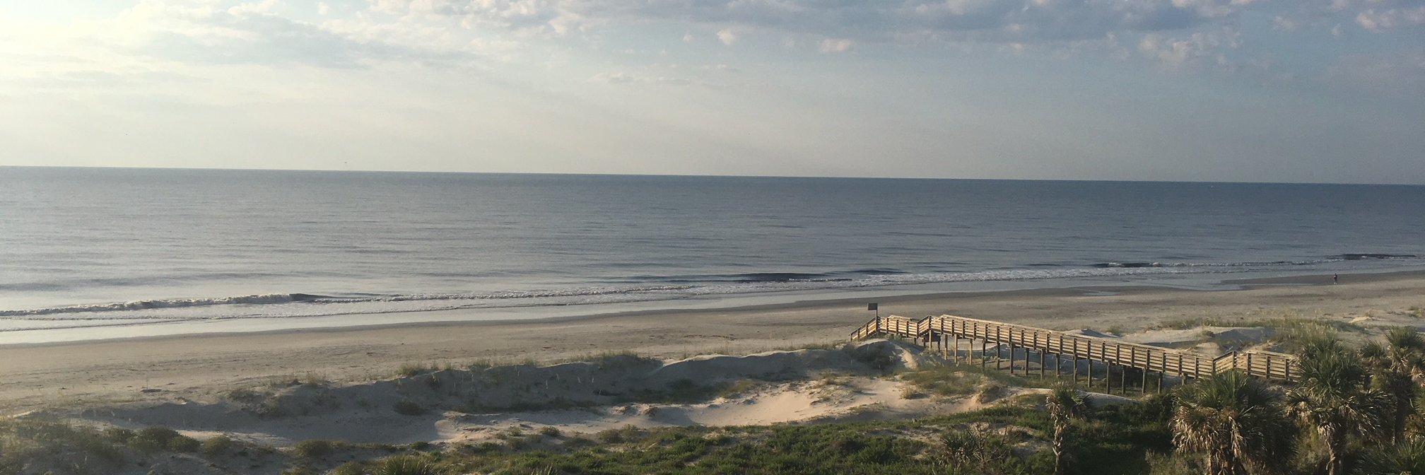 Chiara Valadez banner