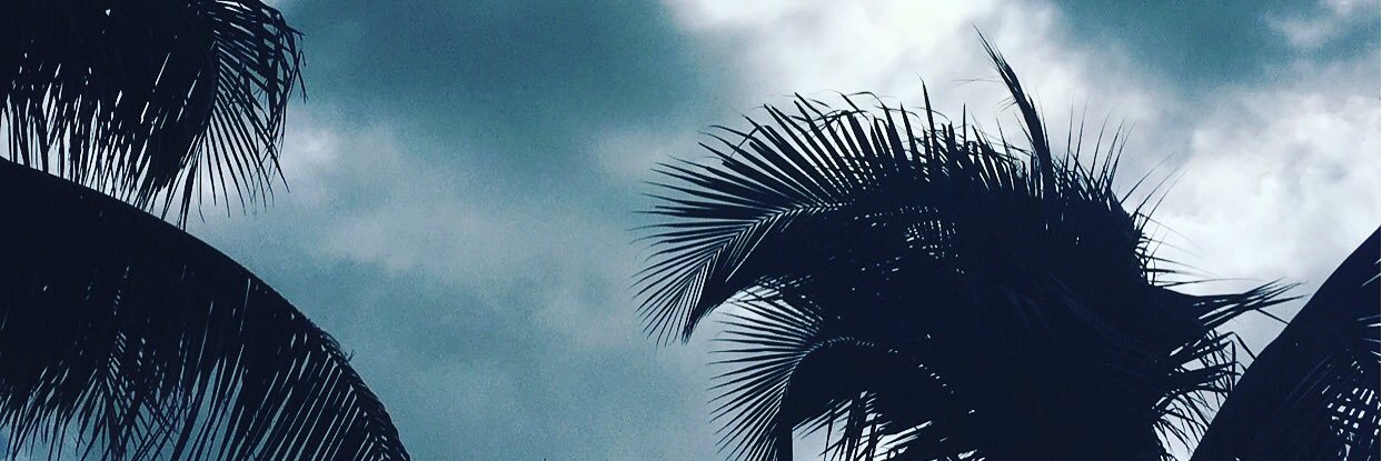 EmmaSchmee's profile banner image
