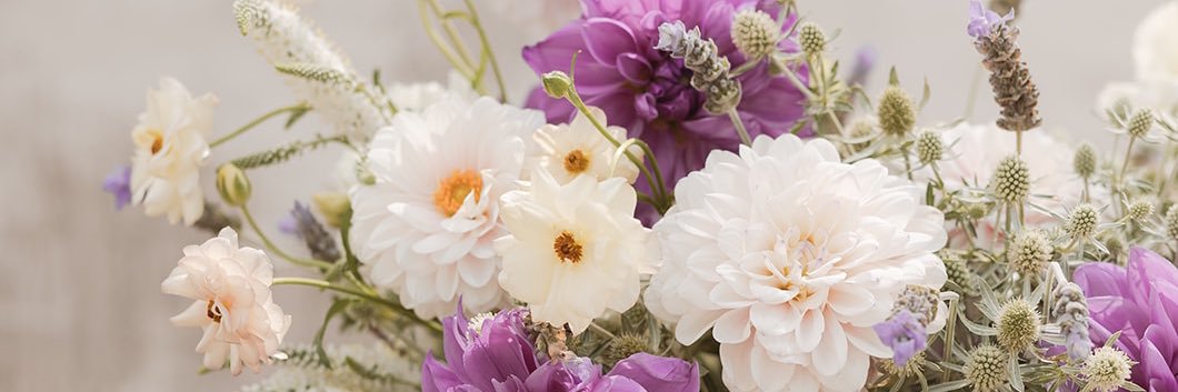 marijosehernan3's profile banner image