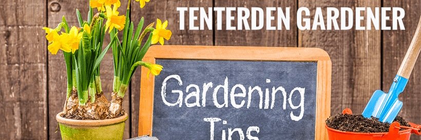 tenterdengarden's profile banner image