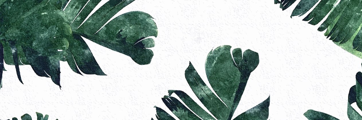 Jimena con jota. banner