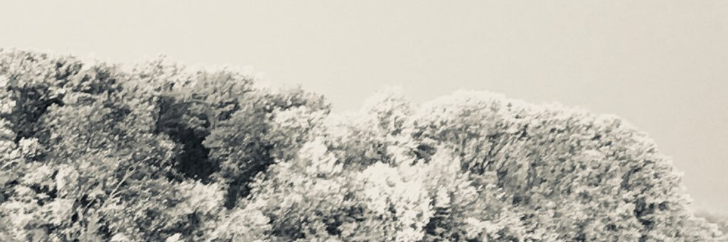 _ItsRiii's profile banner image