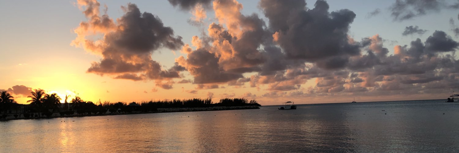 taylorrmcgee's profile banner image