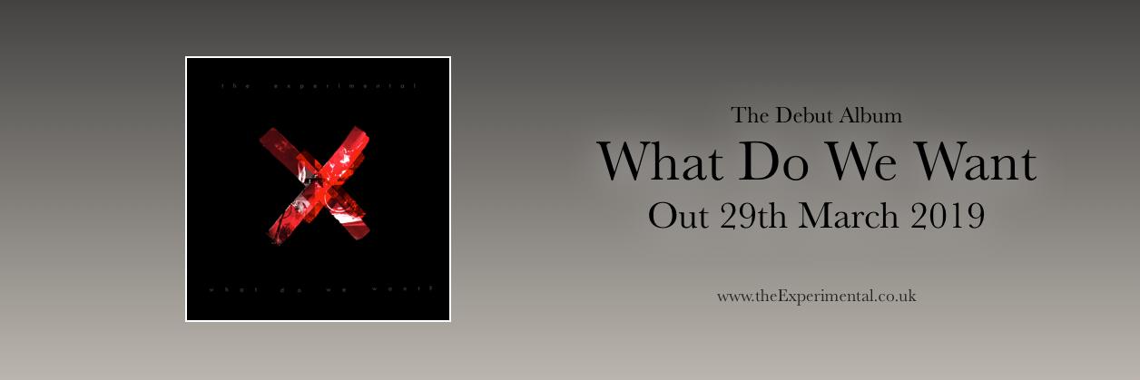 The Experimental banner