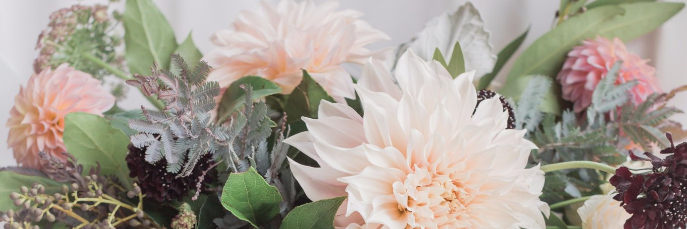 Pollen_Chi's profile banner image