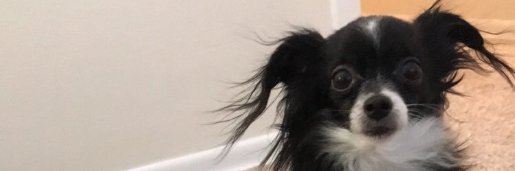 sweazey___'s profile banner image