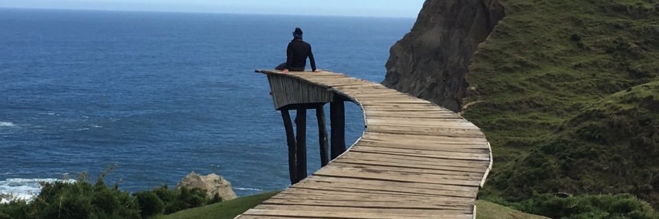 Rodrigo Donoso banner