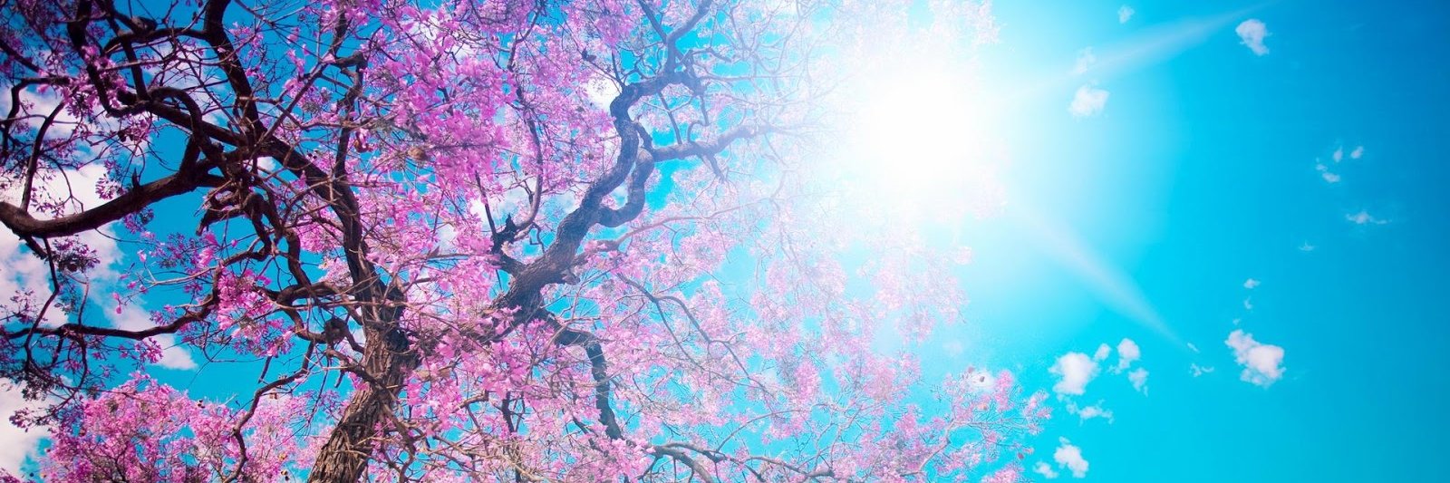 anacatherine4's profile banner image