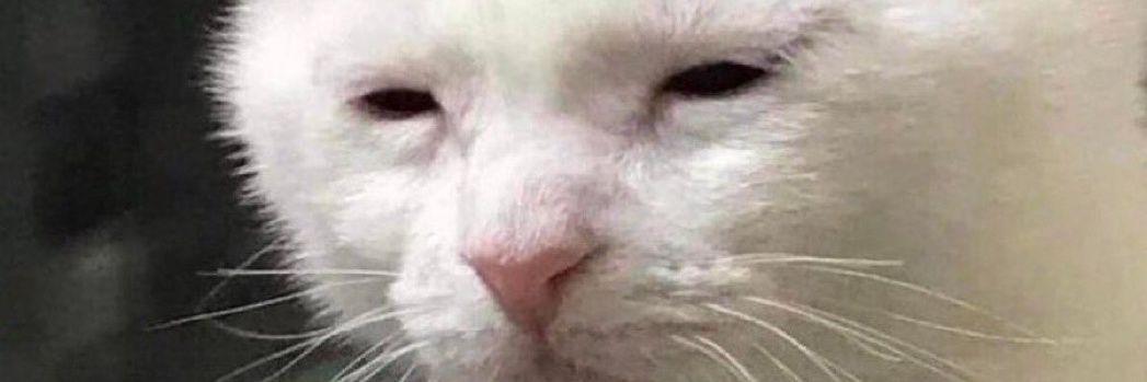 Danny_Spz's profile banner image