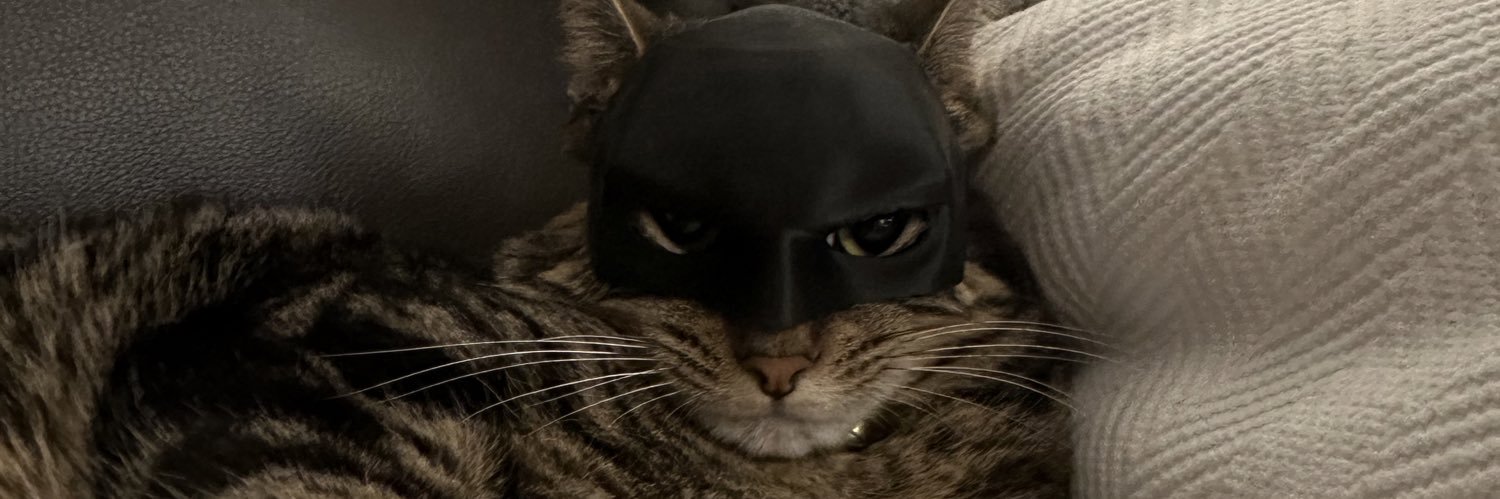 TheRealDrewbug's profile banner image