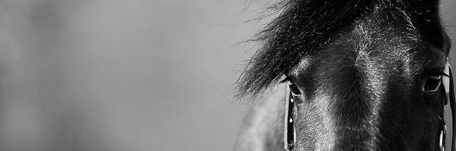 ElMaith_M's profile banner image