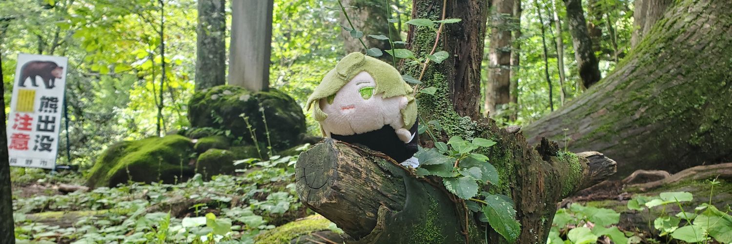 karako00's profile banner image