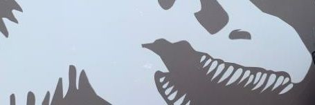 Momo_Tracker's profile banner image