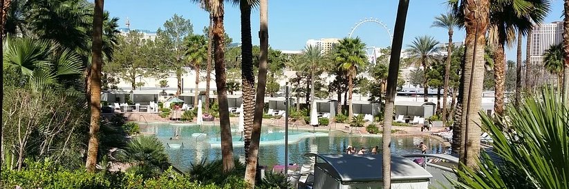 SinCityAlize's profile banner image